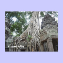 ta prohm roots postcards by cardart ta prohm roots postcards