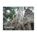ta prohm roots postcards
