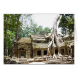 ta prohm tree card