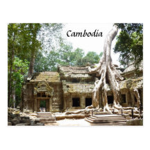 ta prohm tree post cards