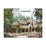 ta prohm tree post cards