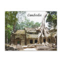ta prohm tree postcards