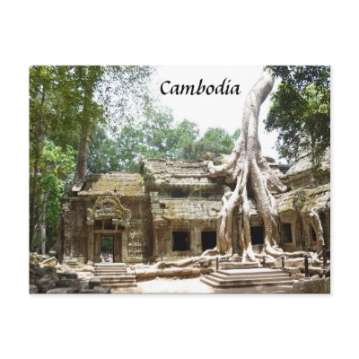 ta prohm tree post cards by cardart