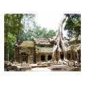 ta prohm tree posters by cardart ta prohm tree posters