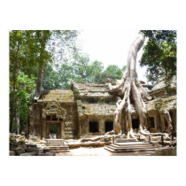 ta prohm tree posters by cardart ta prohm tree posters