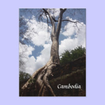 ta prohm tree root postcards by cardart ta prohm tree root postcards