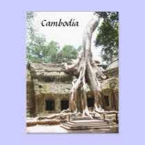 ta prohm tree roots postcards by cardart ta prohm tree roots postcards