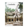 ta prohm tree roots post cards