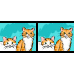 Tazas De Gatos