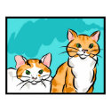 Tabby and Calico Cat posters