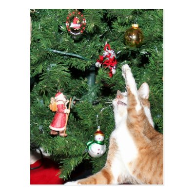 Tabby and Christmas tree Postcards