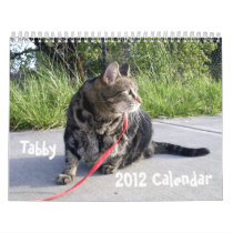 Tabby Cat 2012 Calendar calendars