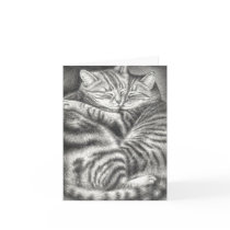 TABBY CAT AFFECTION cards by BeautyUnlimited TABBY CAT AFFECTION cards