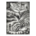 TABBY CAT AFFECTION GREETING CARDS