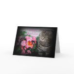 Tabby Cat Birthday card