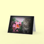 Tabby Cat Birthday card