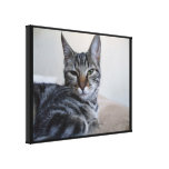 Tabby Cat Canvas Print