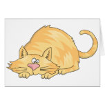 tabby cat cards
