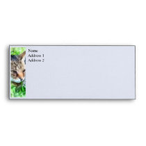 Tabby Cat Closeup envelopes