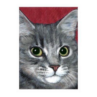 Tabby Cat ~ colored pencil drawing Print by Classic_Cat