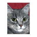 Tabby Cat ~ colored pencil drawing posters