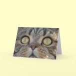 Tabby Cat  - Greeting card
