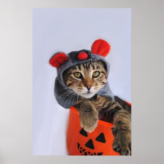 Tabby Cat In Mouse Costume Print print