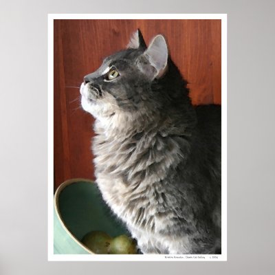 Tabby Cat in Profile Poster by Classic_Cat