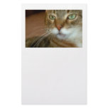 Tabby Cat Love Customized Stationery