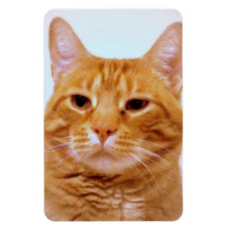 Tabby Cat Lover Photo Magnet