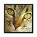 Tabby Cat - Magnet by gabycat Tabby Cat - Magnet