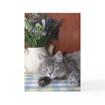 Tabby Cat  'Missing You'  Notecard