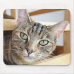 tabby cat mouse pad mousepads