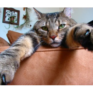 Tabby cat mousepad mousepad
