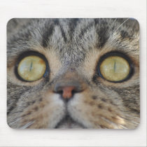 Tabby Cat Mousepad mousepads