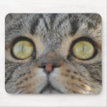 Tabby Cat Mousepad