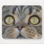Tabby Cat Mousepad