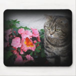 Tabby Cat mousepad