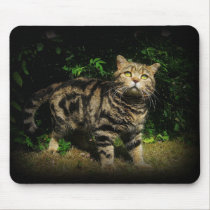 Tabby cat Mousepad mousepads