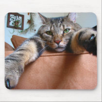 Tabby cat mousepad mousepads
