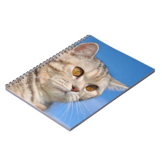 Tabby cat Notebook notebook