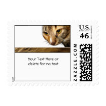 Tabby Cat Peeking from the Top Right Corner Postage Stamp