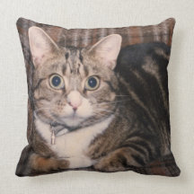 tabby cat pillow