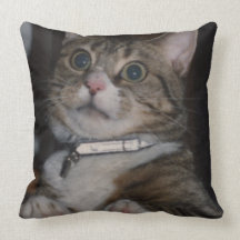 tabby cat pillow