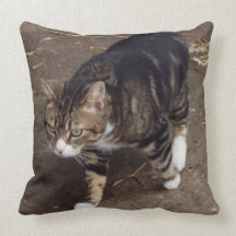 tabby cat pillow