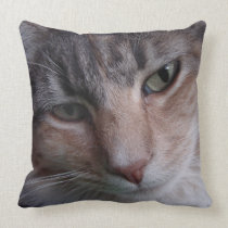 Tabby Cat pillows