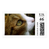 Tabby Cat Postage postage by SnapiKat Tabby Cat Postage postage