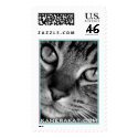 Tabby Cat Postage