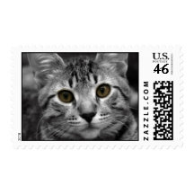 Tabby Cat Postage Stamp