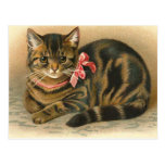 "Tabby Cat" Postcard